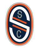 SALVO_LOGO_1