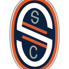 SALVO_LOGO_1
